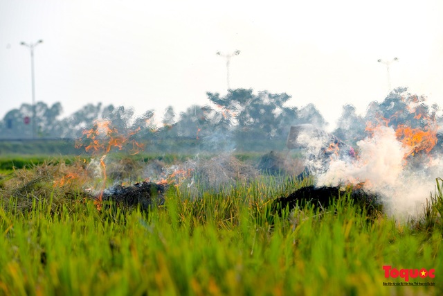 Nông dân lại đốt rơm rạ, khói bụi đang bủa vây ngoại thành Hà Nội - Ảnh 6.