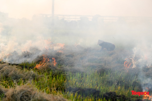 Nông dân lại đốt rơm rạ, khói bụi đang bủa vây ngoại thành Hà Nội - Ảnh 5.