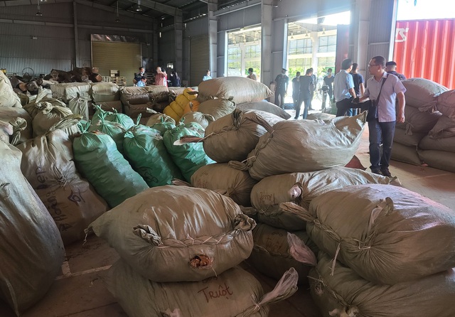 Phát hiện khoảng 100 tấn dược liệu nhập từ Trung Quốc “đội lốt” hàng nông sản   - Ảnh 2.