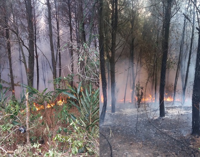 Nghệ An: Hàng nghìn người đang căng mình chữa cháy rừng suốt 14 giờ đồng hồ - Ảnh 5.