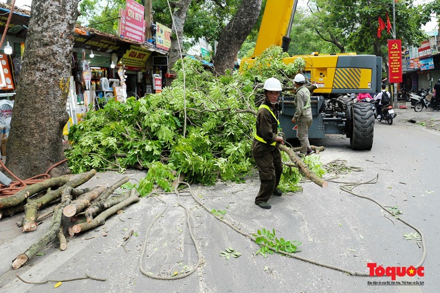 Hà Nội nắng nóng 40 độ, công nhân vật vả tỉa cây trước mùa mưa bão - Ảnh 3.