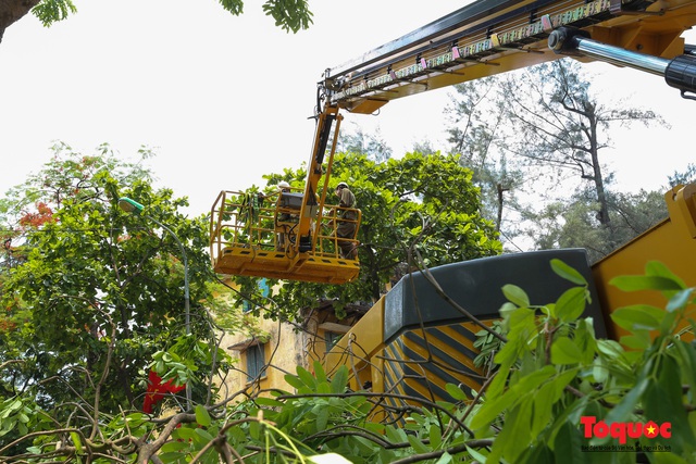 Hà Nội nắng nóng 40 độ, công nhân vật vả tỉa cây trước mùa mưa bão - Ảnh 1.