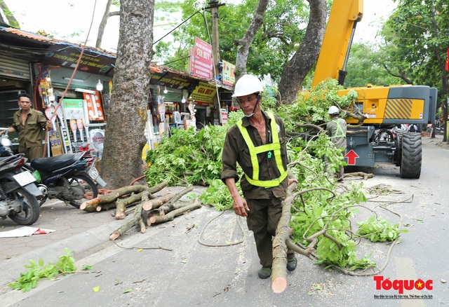 Hà Nội nắng nóng 40 độ, công nhân vật vả tỉa cây trước mùa mưa bão - Ảnh 8.