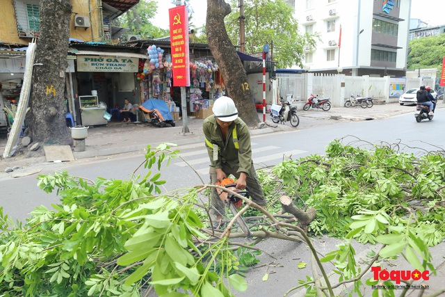 Hà Nội nắng nóng 40 độ, công nhân vật vả tỉa cây trước mùa mưa bão - Ảnh 6.