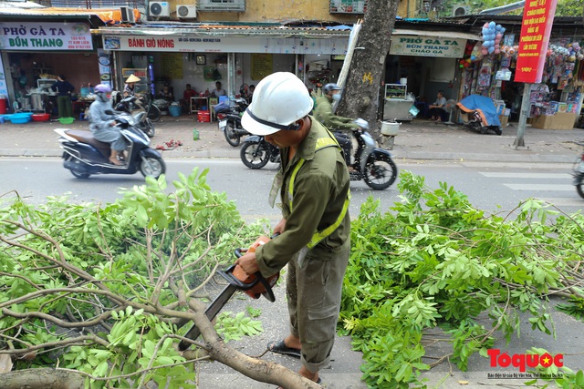 Hà Nội nắng nóng 40 độ, công nhân vật vả tỉa cây trước mùa mưa bão - Ảnh 5.