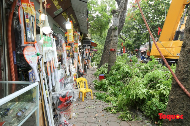 Hà Nội nắng nóng 40 độ, công nhân vật vả tỉa cây trước mùa mưa bão - Ảnh 7.