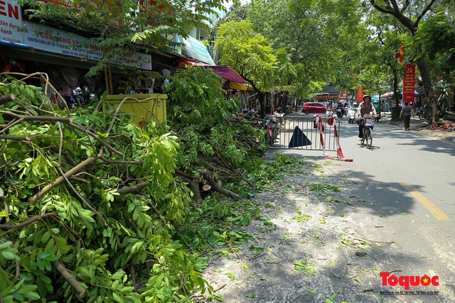 Hà Nội nắng nóng 40 độ, công nhân vật vả tỉa cây trước mùa mưa bão - Ảnh 11.