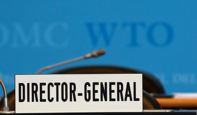 Con đường chọn lựa Tổng giám đốc WTO và khó khăn phía trước - Ảnh 1.