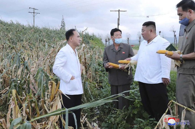 Chủ tịch Triều Tiên thân chinh thăm khu vực bị bão lớn - Ảnh 3.
