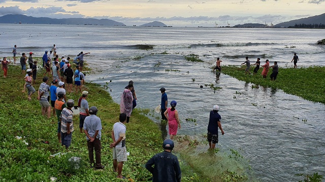 Người dân Đà Nẵng bắt cá nước ngọt bên bờ biển - Ảnh 11.