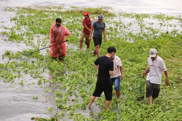 Người dân Đà Nẵng bắt cá nước ngọt bên bờ biển - Ảnh 10.