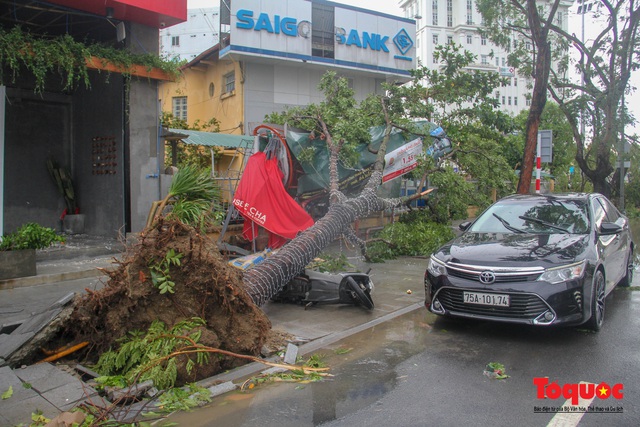 Gió to, mưa lớn, nhiều cây xanh tại TP Huế ngã đổ do bão số 5 - Ảnh 10.