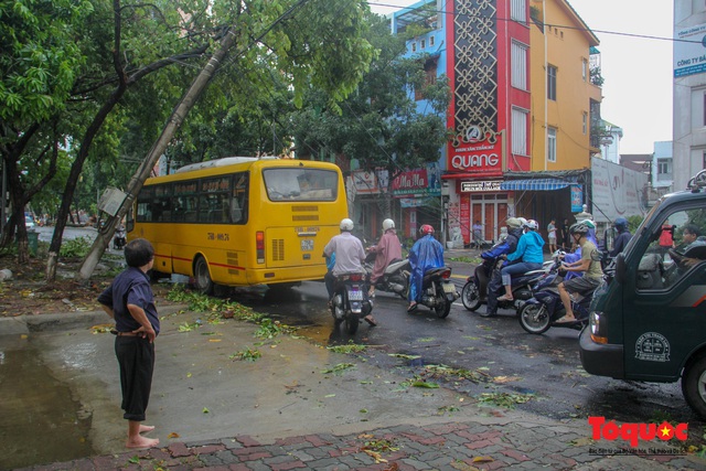 Gió to, mưa lớn, nhiều cây xanh tại TP Huế ngã đổ do bão số 5 - Ảnh 14.