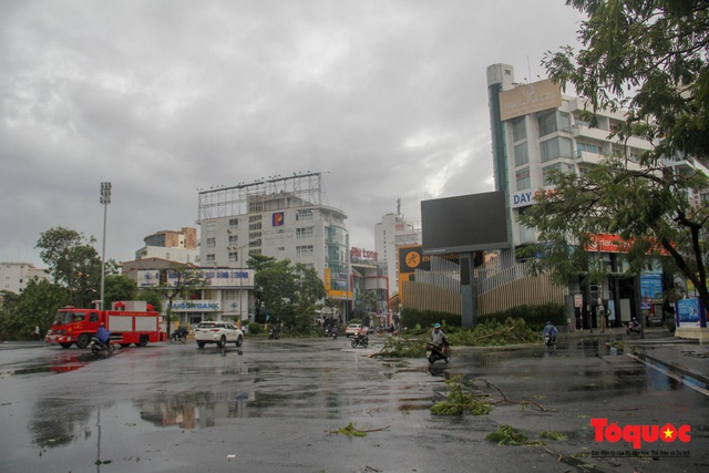 Gió to, mưa lớn, nhiều cây xanh tại TP Huế ngã đổ do bão số 5 - Ảnh 2.