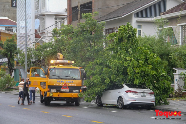 Gió to, mưa lớn, nhiều cây xanh tại TP Huế ngã đổ do bão số 5 - Ảnh 16.