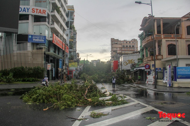 Gió to, mưa lớn, nhiều cây xanh tại TP Huế ngã đổ do bão số 5 - Ảnh 6.