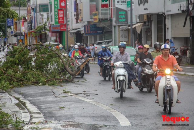 Gió to, mưa lớn, nhiều cây xanh tại TP Huế ngã đổ do bão số 5 - Ảnh 7.