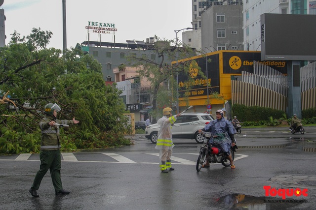 Gió to, mưa lớn, nhiều cây xanh tại TP Huế ngã đổ do bão số 5 - Ảnh 17.