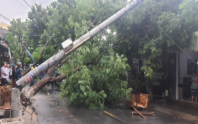 Điện lực Đà Nẵng nói gì về hình ảnh cột điện không lõi gãy ngang trong bão số 5?  - Ảnh 1.