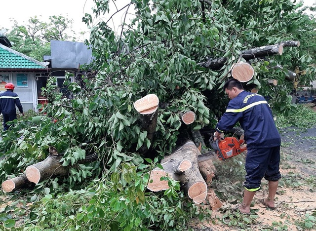 Lực lượng chức năng Thừa Thiên Huế khẩn trương khắc phục hậu quả của bão số 5 - Ảnh 7.