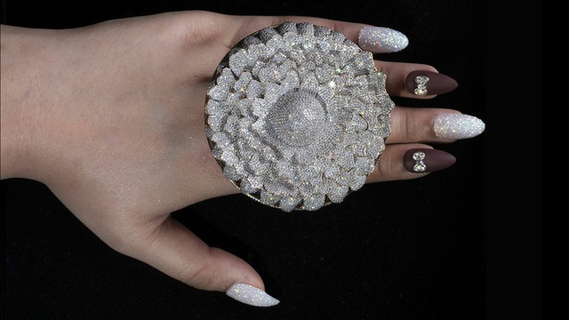 Chiêm ngưỡng chiếc nhẫn đính hàng nghìn viên kim cương đạt kỷ lục Guinness - Ảnh 1.
