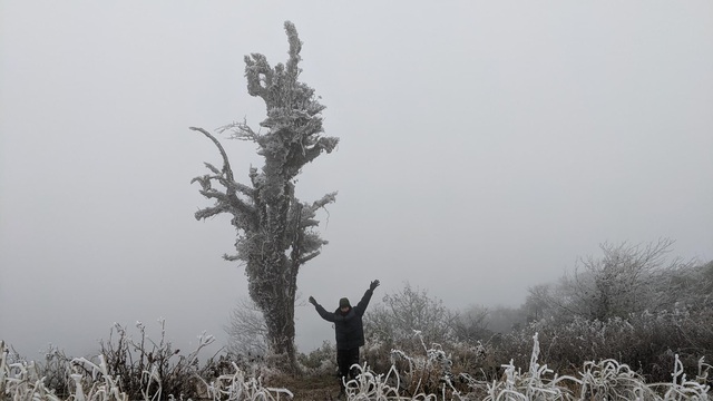 Khách du lịch thích thú chụp ảnh với băng giá phủ trắng đỉnh Phja Oắc và Mẫu Sơn - Ảnh 12.