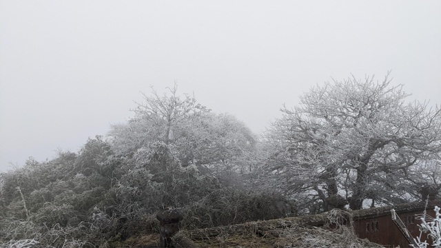 Khách du lịch thích thú chụp ảnh với băng giá phủ trắng đỉnh Phja Oắc và Mẫu Sơn - Ảnh 21.