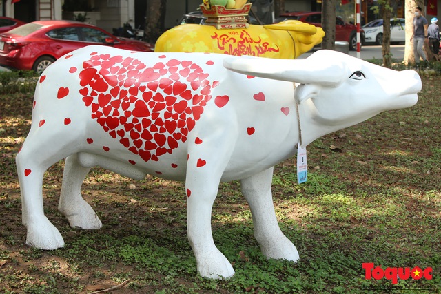 Hà Nội: Trâu diễu hành người dân ngạc nhiên thích thú - Ảnh 10.