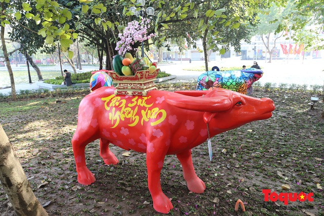 Ấn tượng trước đàn trâu rực rỡ sắc mầu, anh Nguyễn Việt Hoàng ( ngụ tại Hai Bà Trưng- HN) dẫn gia đình đi chụp ảnh Tết cho biết, đàn trâu có kích thước tương đương trâu thật, mầu sắc hoạ tiết đẹp. Đặc biệt linh vật trâu cũng đại diện cho năm mới 2021 nên việc trưng bày mang ý nghĩa hoan hỷ đón xuân mới.