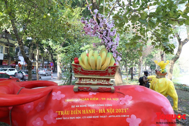 Trâu đỏ, cõng trên mình mâm ngũ quả và hoa đào một hình ảnh tiêu biểu tượng trưng đặc biệt ngày Tết Nguyên Đán.