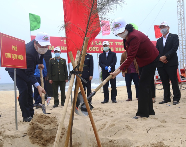 Phó Chủ tịch nước phát động Tết trồng cây ở Quảng Bình  - Ảnh 1.
