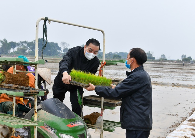 Ảnh: Bí thư, Chủ tịch Hà Nội đi cấy lúa cùng bà con nông dân - Ảnh 5.