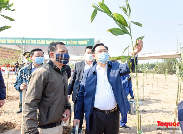 Lãnh đạo TP Hà Nội phát động Tết trồng cây nhớ ơn Bác Hồ đầu xuân Tân Sửu - Ảnh 2.