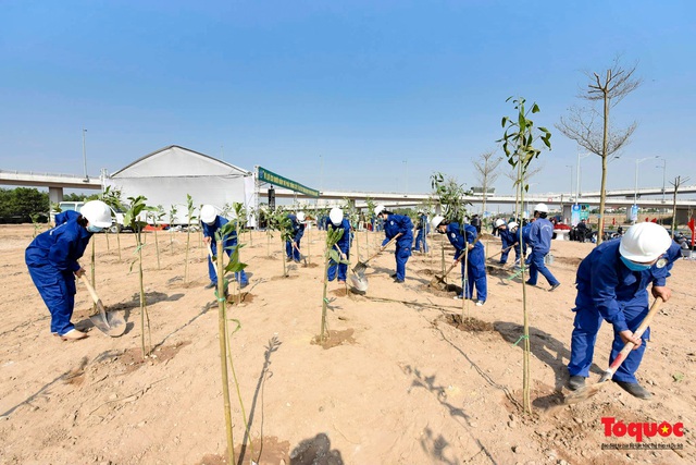 Lãnh đạo TP Hà Nội phát động Tết trồng cây nhớ ơn Bác Hồ đầu xuân Tân Sửu - Ảnh 12.