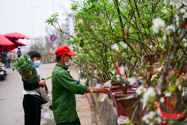 Sau Tết Nguyên đán người dân thủ đô bỏ tiền triệu mua cây bưởi về chơi - Ảnh 3.