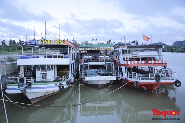 Tàu xe du lịch ở Đà Nẵng im lìm vì không có khách - Ảnh 7.