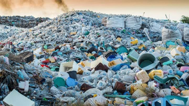 WWF-Việt Nam kêu gọi trách nhiệm người tiêu dùng trong giảm thiểu rác thải nhựa - Ảnh 1.