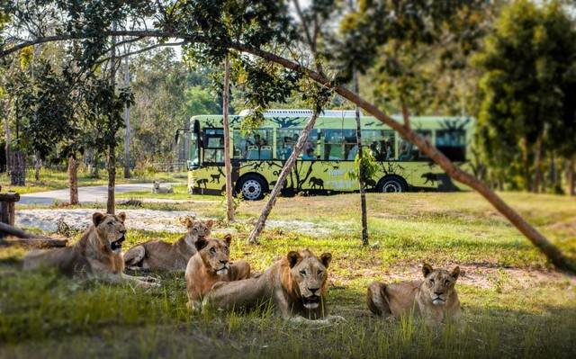 Một ngày vào vai “nhà động vật học” giữa “thiên đường hoang dã” Vinpearl Safari - Ảnh 3. Một ngày vào vai “nhà động vật học” giữa “thiên đường hoang dã” Vinpearl Safari - Ảnh 3.
