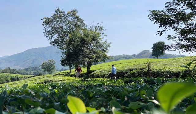 Đạo diễn Mai Long: Phim Tết phải thuyết phục khán giả bằng nội dung và chiều sâu tác phẩm  - Ảnh 3.