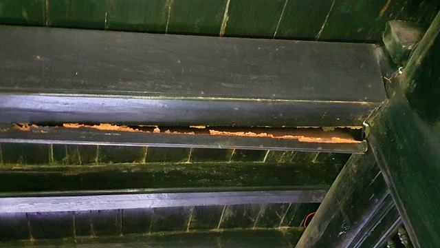 Mối mọt âm thầm “tấn công” nhiều di tích ở phố cổ Hội An  - Ảnh 2.