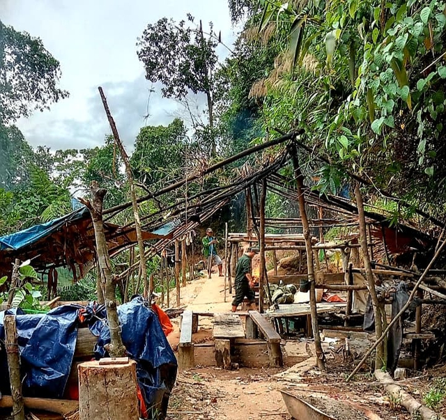 &quot;Vàng tặc&quot; lén lút khai thác trái phép giữa lõi rừng phòng hộ tại tỉnh Thừa Thiên Huế - Ảnh 1.