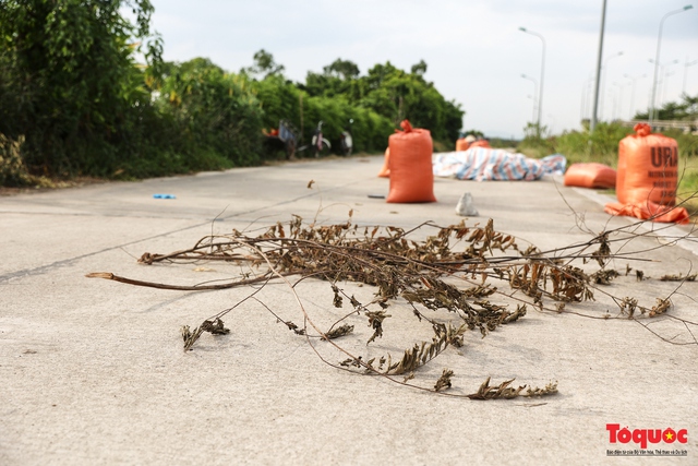 Nông dân đốt rơm rạ, khói mù mịt bủa vây đại lộ Thăng Long - Ảnh 11.