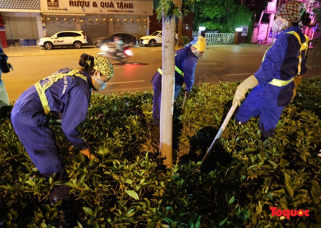 Hàng cây phong lá đỏ ở Hà Nội được di dời ngay trong đêm - Ảnh 4.