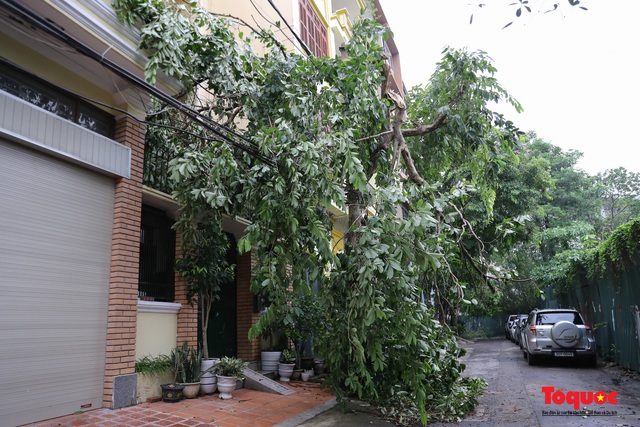Hà Nội: Sau cơn mưa dông Cây xanh đổ rạp trên nhiều tuyến phố - Ảnh 11.