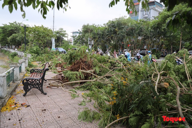 Hà Nội: Sau cơn mưa dông Cây xanh đổ rạp trên nhiều tuyến phố - Ảnh 7.