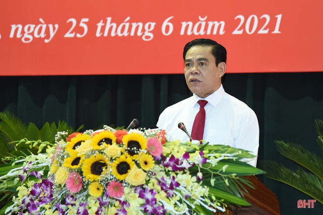 Nhiều lãnh đạo TPHCM, Đà Nẵng, Hà Tĩnh tái đắc cử  - Ảnh 5.