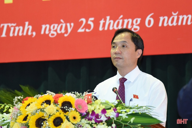 Nhiều lãnh đạo TPHCM, Đà Nẵng, Hà Tĩnh tái đắc cử  - Ảnh 4.