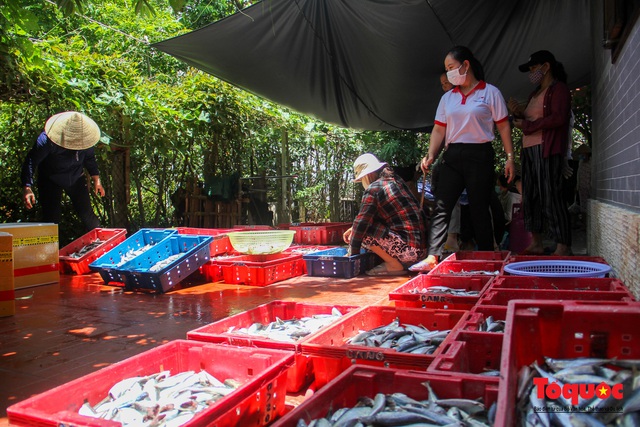 Canh bếp lửa giữa trưa hè, người dân miền Trung chế biến hàng tấn cá gửi tặng TP HCM - Ảnh 1.