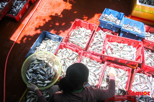 Canh bếp lửa giữa trưa hè, người dân miền Trung chế biến hàng tấn cá gửi tặng TP HCM - Ảnh 3.
