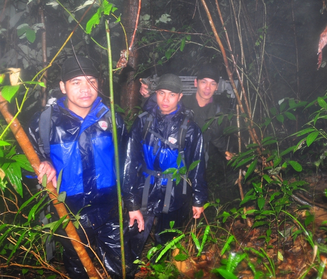 Thừa Thiên Huế: Tăng cường giám sát, ngăn chặn người đi vào rừng trong thời gian thiên tai - Ảnh 1.